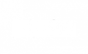 bisnow-logo | AHA